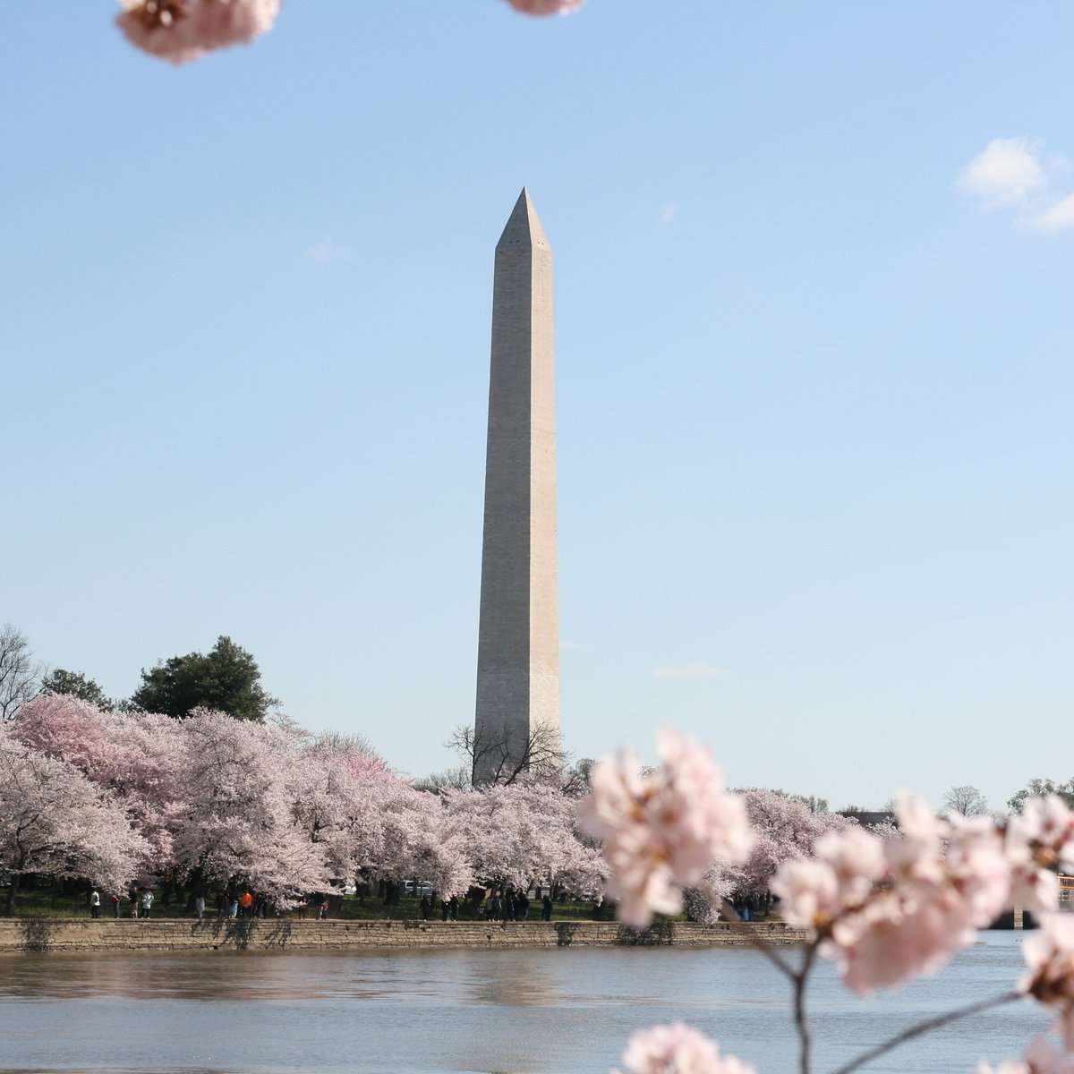 West Potomac Park (Washington DC) - 2022 Lo que se debe saber antes de ...