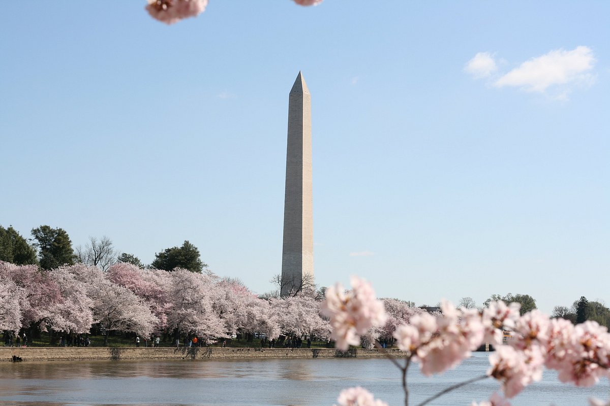 family trip to washington dc