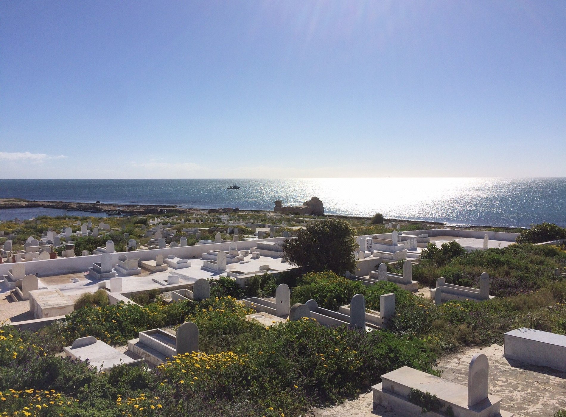 dar jamila image