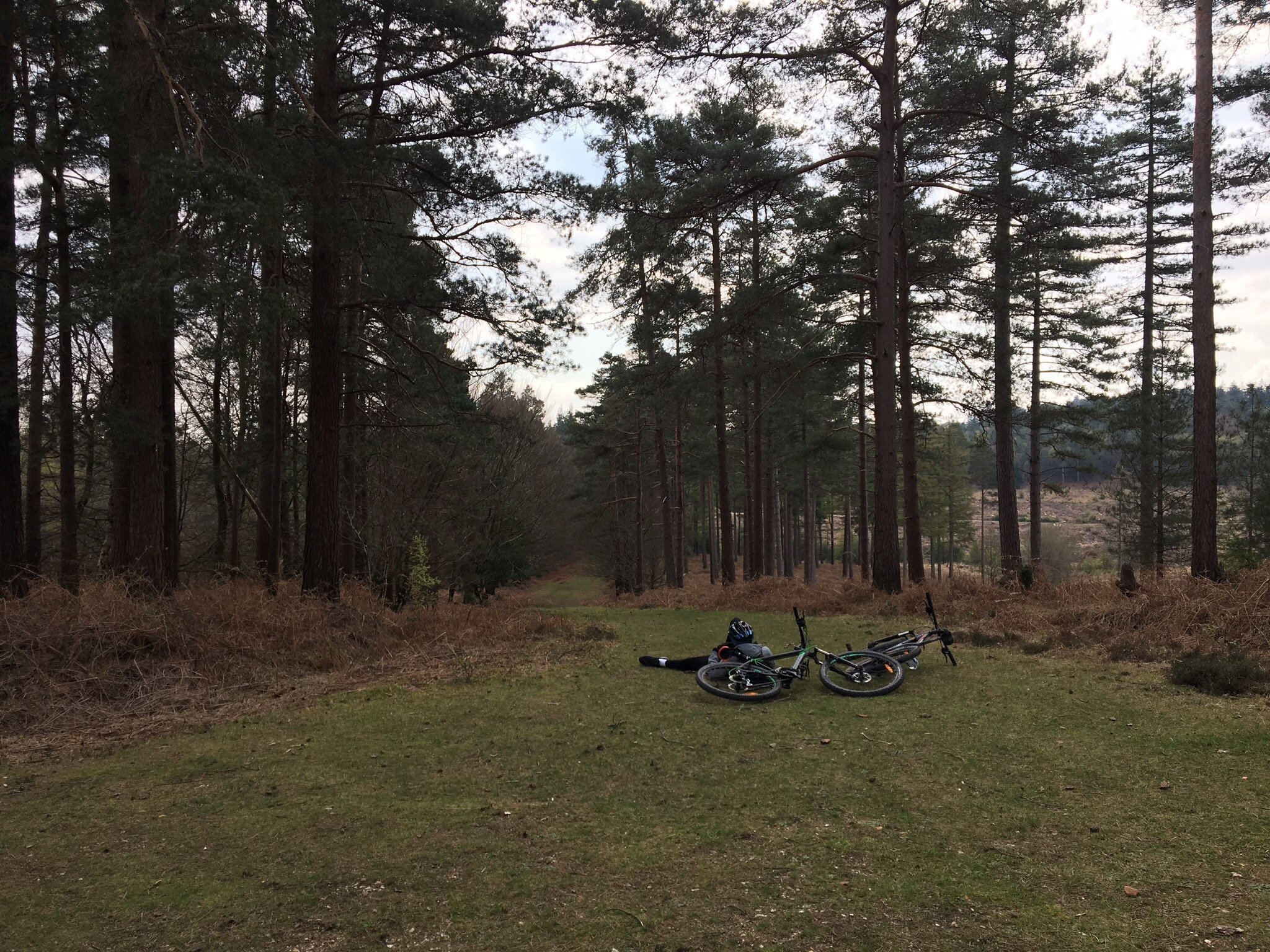 trax bike hire new forest