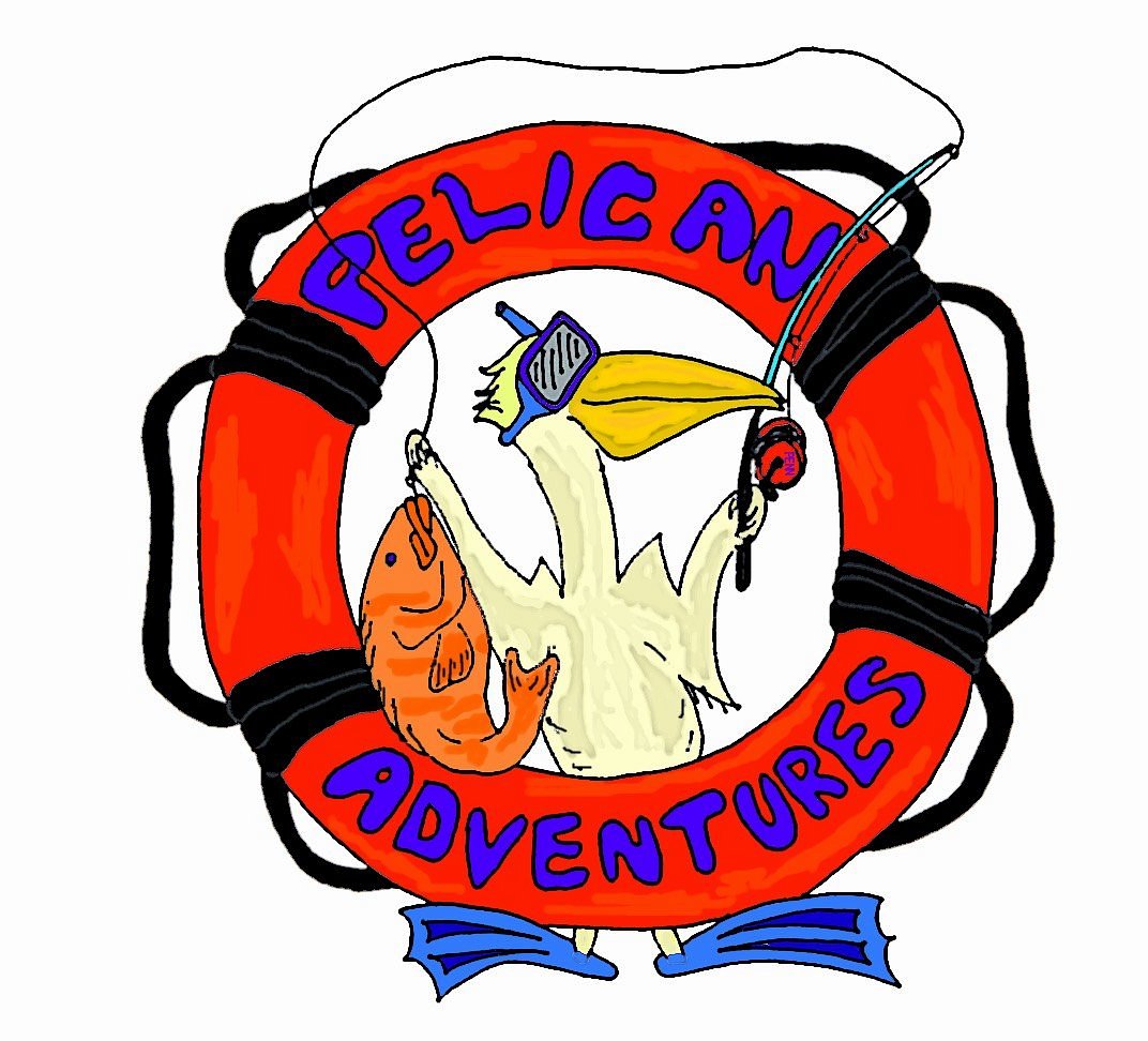 Pelican Adventures - All You Need to Know BEFORE You Go (2024)