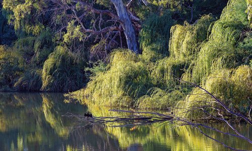 Nagambie, Australia 2023: Best Places to Visit - Tripadvisor