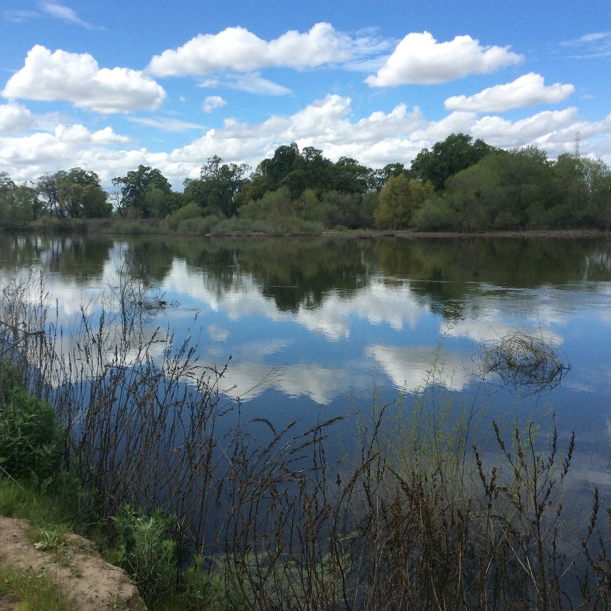 SAN JOAQUIN RIVER NATIONAL WILDLIFE REFUGE (Vernalis) - All You Need to ...