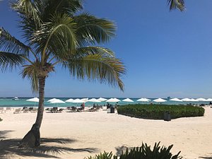 THE WESTIN PUNTACANA RESORT & CLUB $169 ($̶7̶4̶9̶) - Updated 2023 Prices &  Hotel Reviews - Punta Cana, Dominican Republic