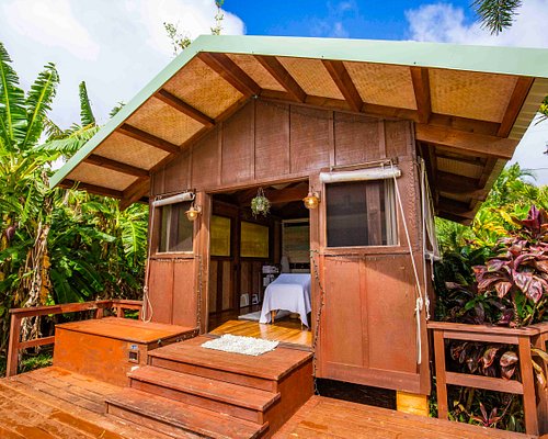 https://dynamic-media-cdn.tripadvisor.com/media/photo-o/17/24/34/fc/the-zen-shack.jpg?w=500&h=400&s=1