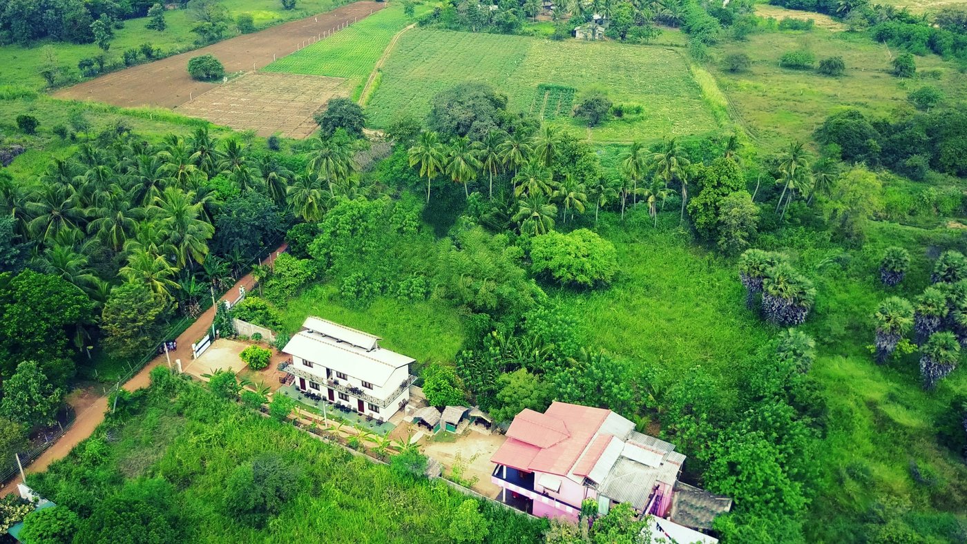 NEW PEACOCK RESORT (Dambulla) B&B Reviews, Photos, Rate Comparison