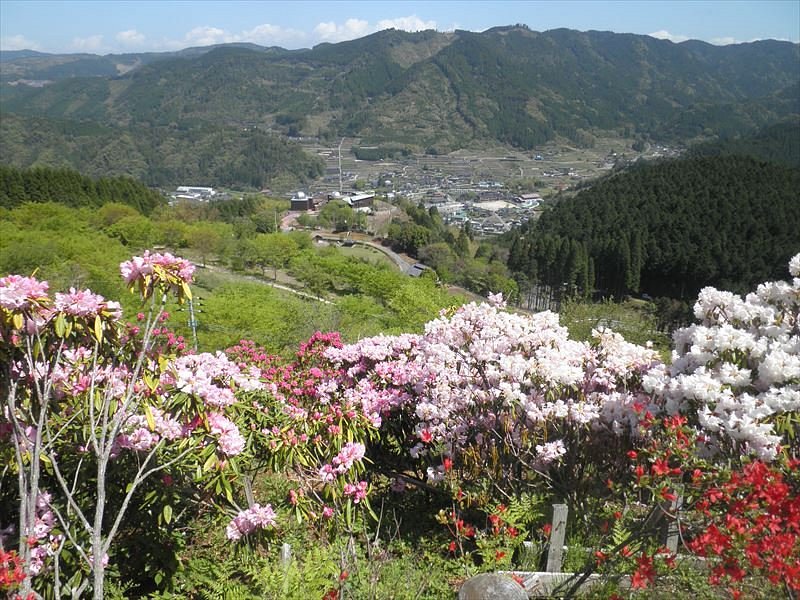 22年 星の花公園 行く前に 見どころをチェック トリップアドバイザー