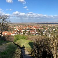 Blick in die Rheinebene