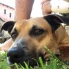 Marcos