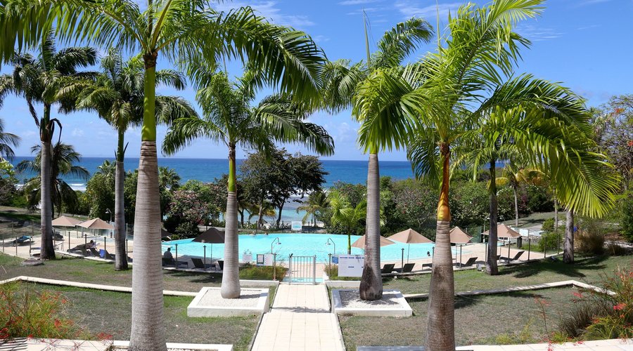 Piscine partie premium 