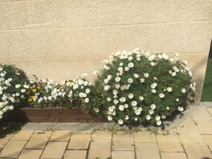 חדרים וסוויטות