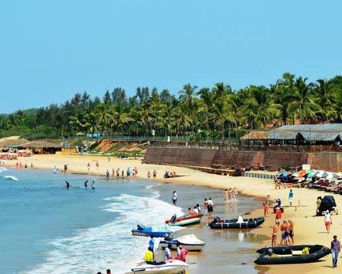 Discover the 10 Best Beaches in Goa for a Sun-soaked Escape - Exploring the Flavors of Candolim Beach