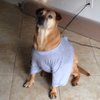 Ernie