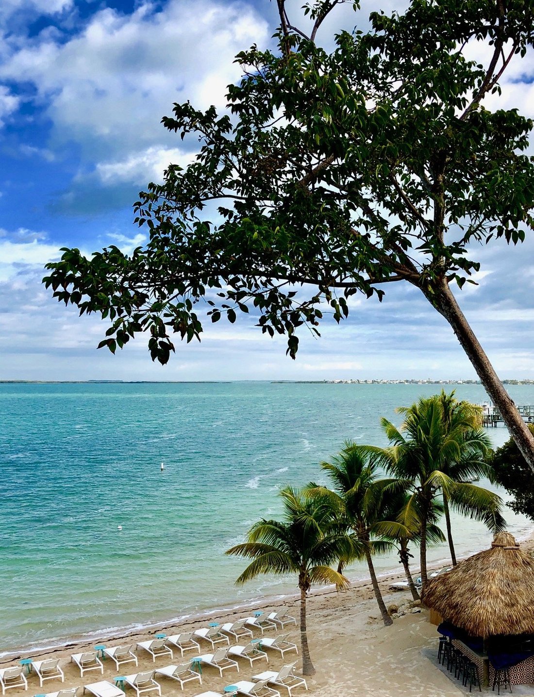 Baker's Cay Resort Key Largo, Curio Collection By Hilton Pool Pictures & Reviews Tripadvisor