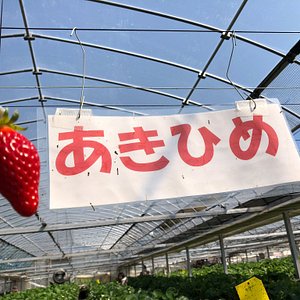 21年 渡邉いちご園 行く前に 見どころをチェック トリップアドバイザー 21年 渡邉いちご園 行く前に 見どころをチェック トリップアドバイザー
