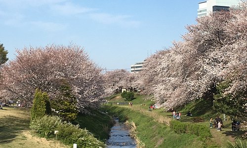21年日本海老名市的旅游景点 旅游指南 行程 Tripadvisor 21年日本海老名市的旅游景点 旅游指南 行程 Tripadvisor