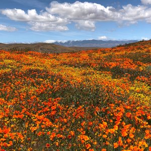 Saddleback Butte State Park (Lancaster) - All You Need to Know BEFORE ...