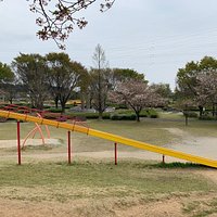 Suzuka Flower Park