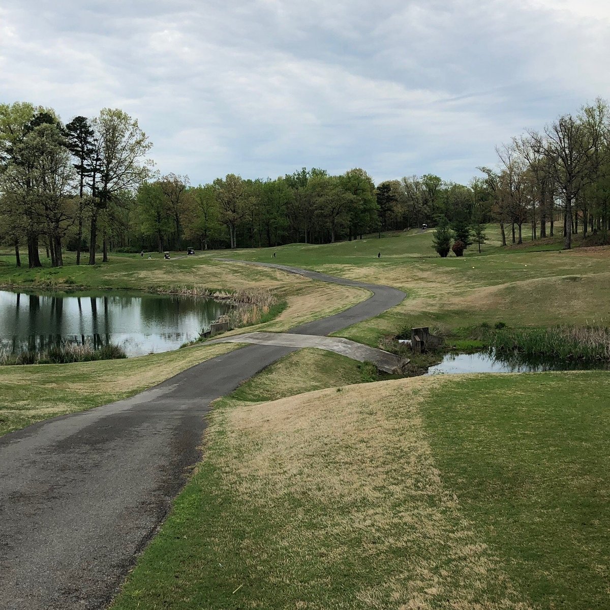 DEAD HORSE LAKE GOLF COURSE (Knoxville) 2022 Qué saber antes de ir