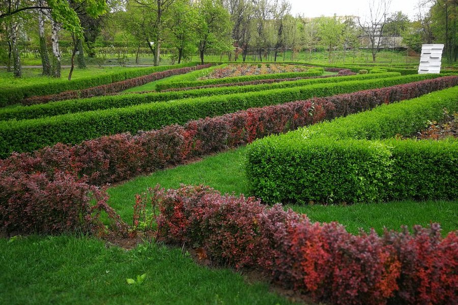 Grădina Botanică Craiova (Botanical Garden) image