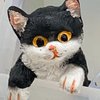 ぽんちゃん