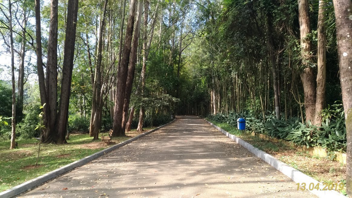 Jardim botanico Irmaos Vilas Boas - All You Need to Know BEFORE You Go  (with Photos)