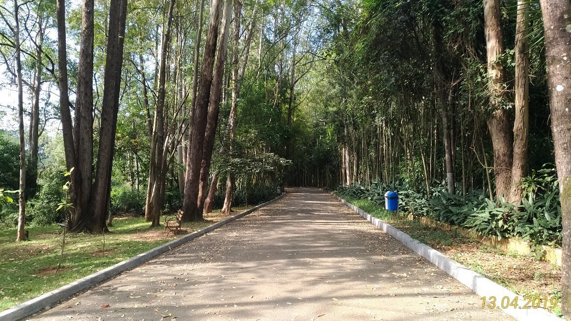 Parque Natural Municipal Chico Mendes (Sorocaba) - ATUALIZADO 2022 O que  saber antes de ir - Sobre o que as pessoas estão falando - Tripadvisor