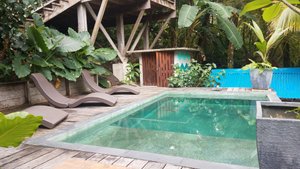 THE FIREFLY BOCAS DEL TORO - Panama B&B 2024 Reviews