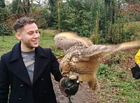 I Go To The Garden There Are 34 Riddle The Secret Owl Garden (Haverfordwest) - 2022 What to Know Before You Go