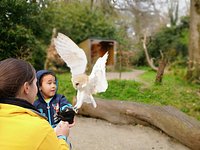 I Go To The Garden There Are 34 Riddle The Secret Owl Garden (Haverfordwest) - 2022 What to Know Before You Go