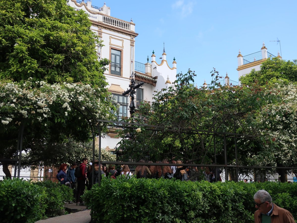 PLAZA DE SANTA CRUZ (Sevilla) - 2023 Qué SABER antes de ir