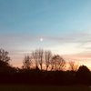 sundancer83