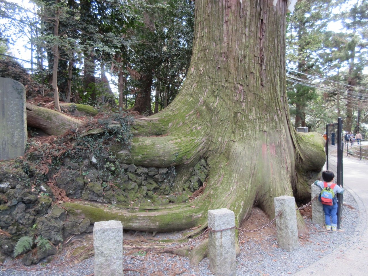 Takosugi (Hachioji) - All You Need To Know BEFORE You Go