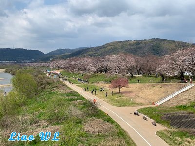 22 年日本八幡市的旅遊景點 旅遊指南 行程 Tripadvisor
