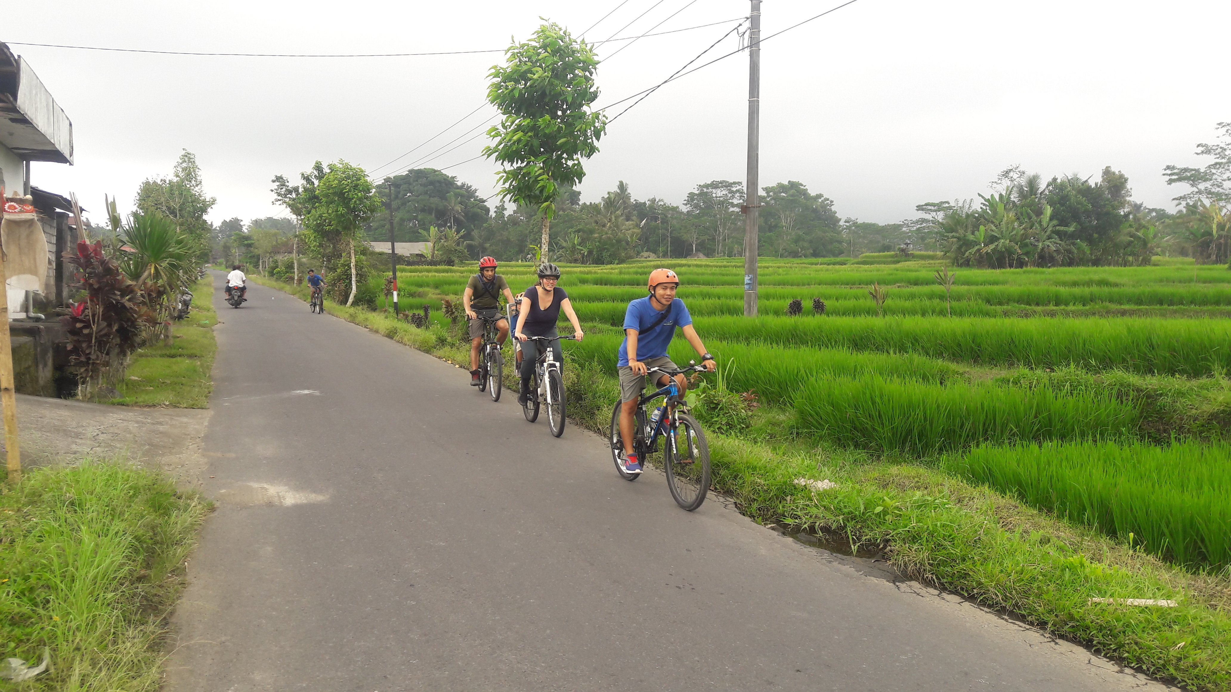 kabul etmek bkz sürtünme bali eco bike tour koyun eti hayat övgü