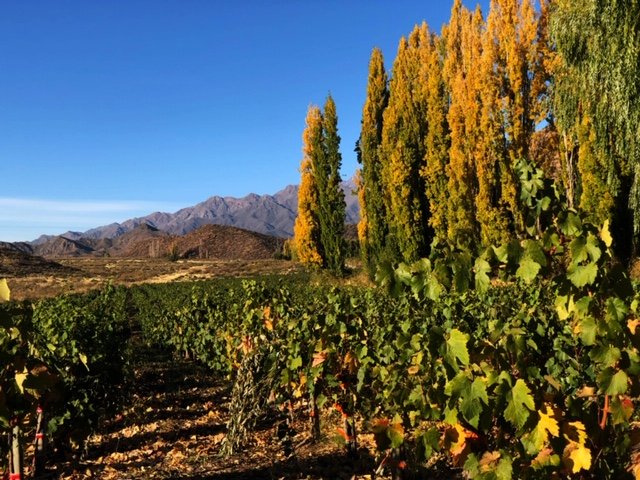 Valle De Uco (Tupungato) - 2023 Alles Wat U Moet Weten VOORDAT Je Gaat ...