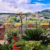 Pinetina di Rocca San Giovanni