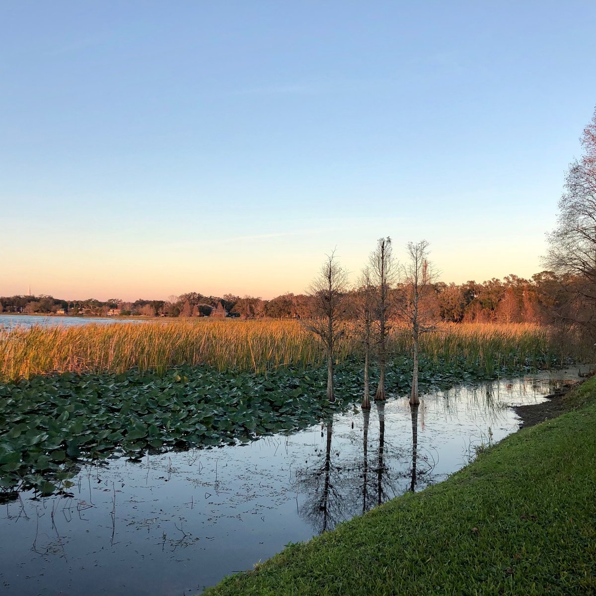 Lake Hollingsworth, Лейкланд: лучшие советы перед посещением - Tripadvisor