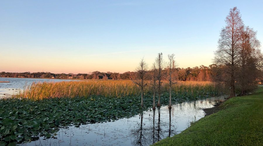 Lake Hollingsworth