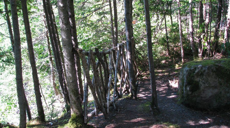 Middle Brook Trail