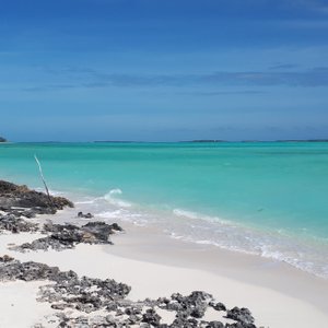 PIG BEACH (Great Exuma) - All You Need to Know BEFORE You Go