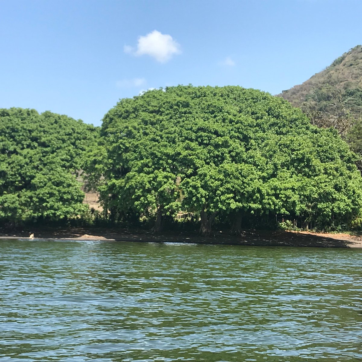 In Catemaco, Mexico's 'Land of the Sorcerers