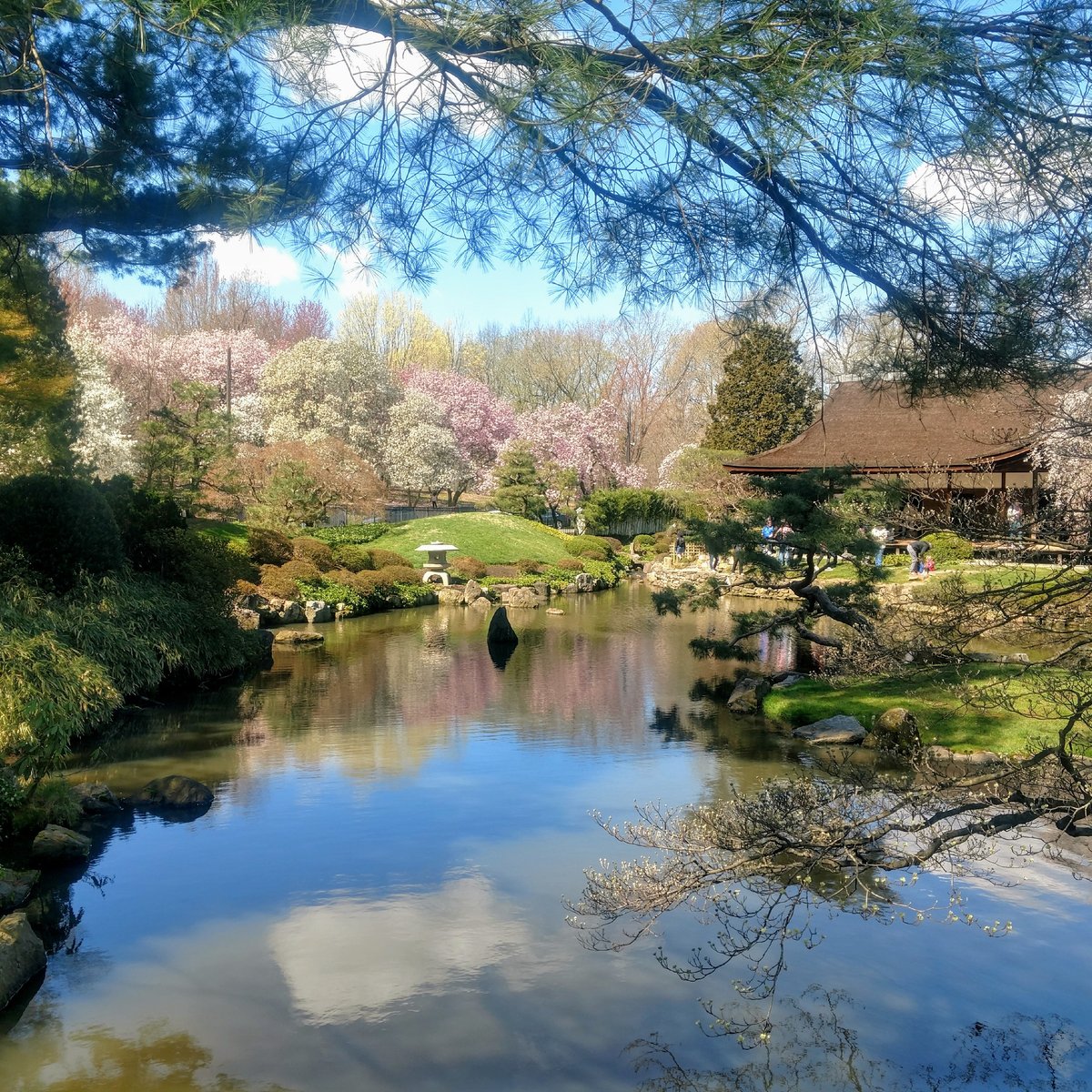 Shofuso Japanese House and Garden, Филадельфия: лучшие советы перед  посещением - Tripadvisor