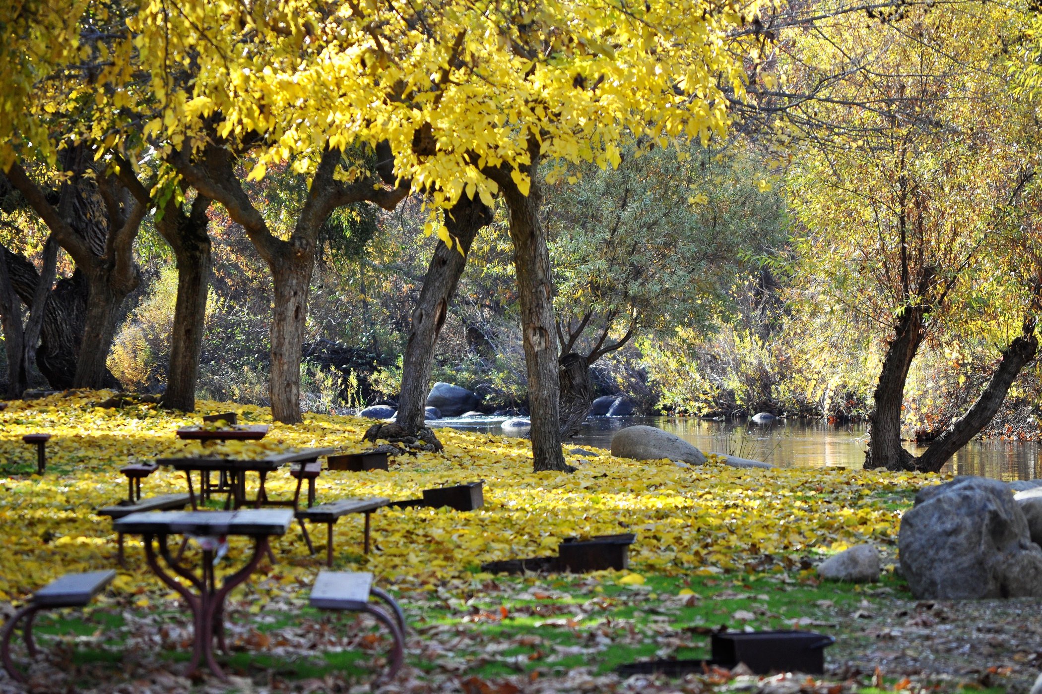 Sequoia Campground & Lodge by null