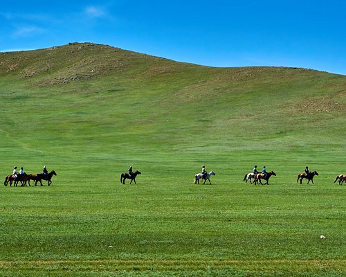 The world-famous Louis Vuitton brand highlighted Mongolian Ger