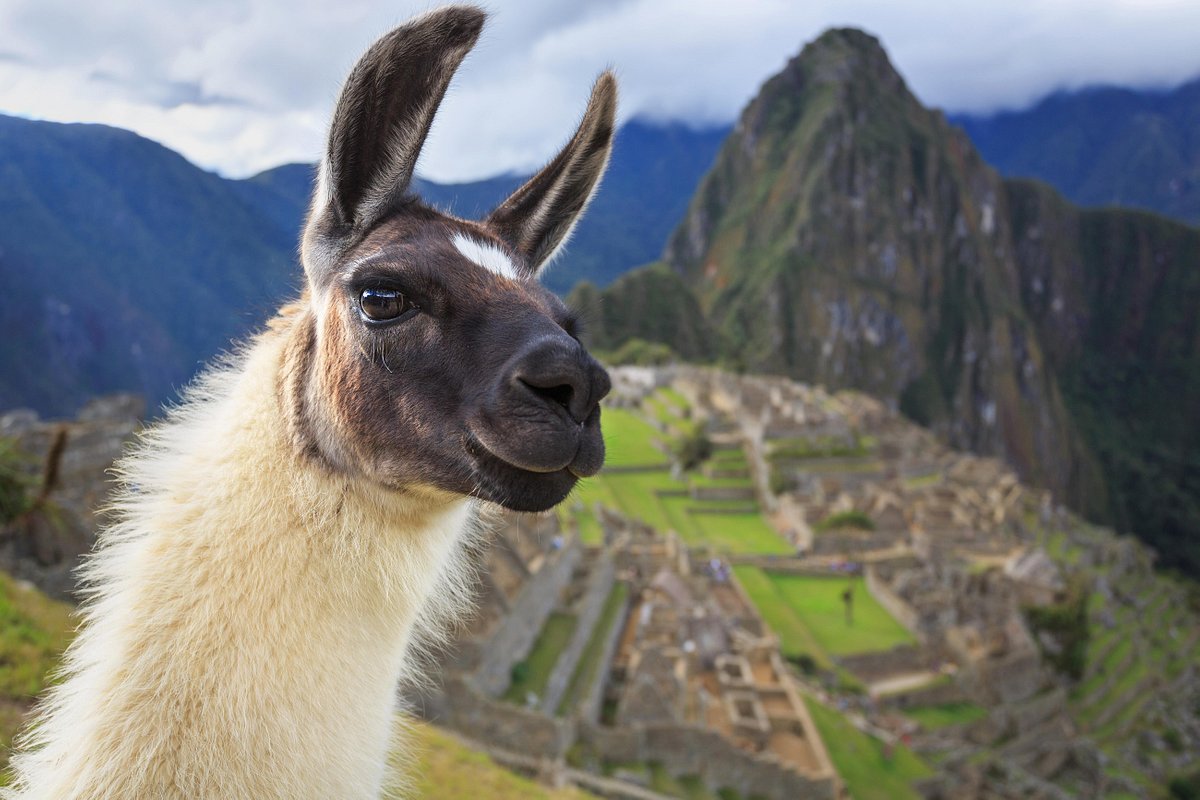 Sacred Travel Peru (Cusco) - All You Need to Know BEFORE You Go