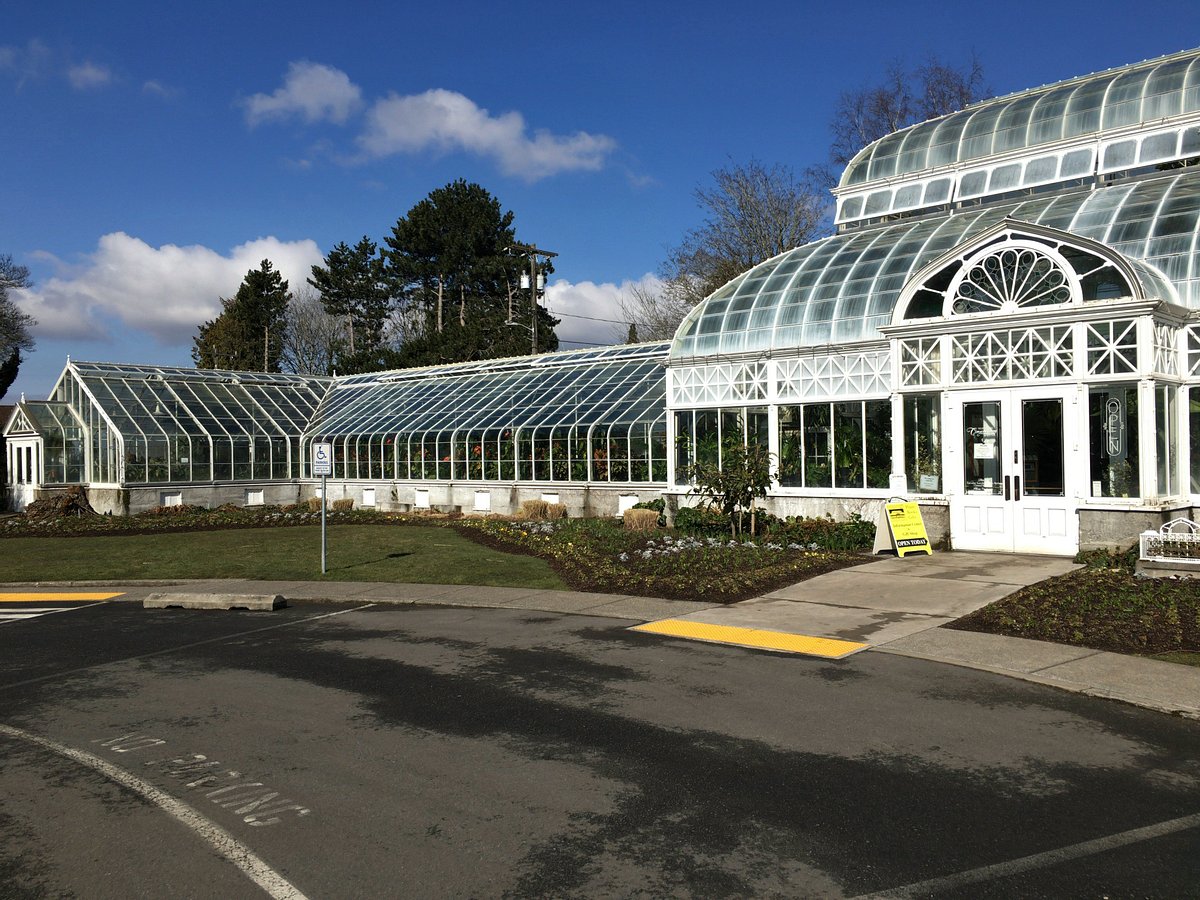 Volunteer Park Conservatory, Сиэтл: лучшие советы перед посещением -  Tripadvisor