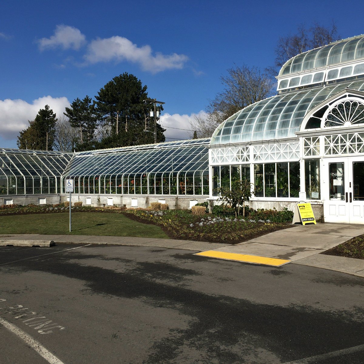 Volunteer Park Conservatory, Сиэтл: лучшие советы перед посещением -  Tripadvisor