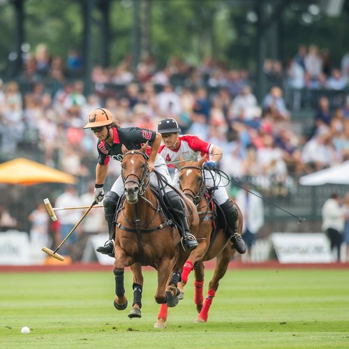 Greenwich Polo Club - All You Need to Know BEFORE You Go (with Photos)