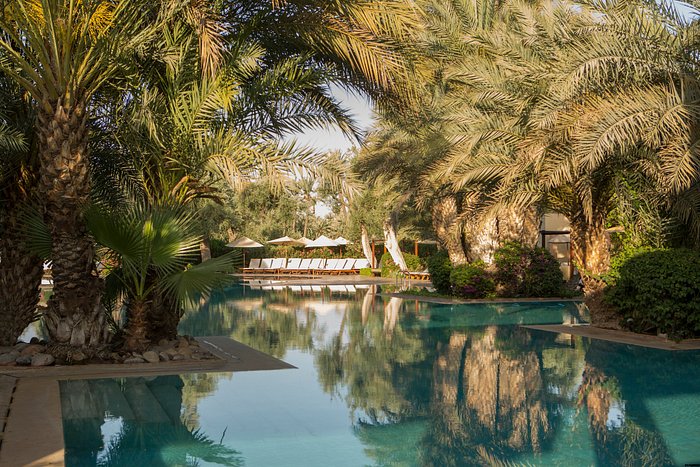 Club Med Marrakech La Palmeraie Pool Pictures And Reviews Tripadvisor